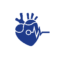 Cardiology icon